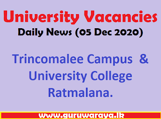 University Vacancies : Daily News (05 Dec 2020)