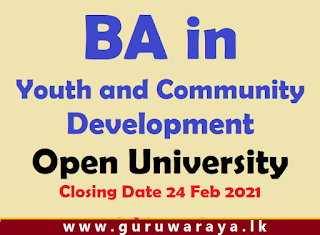 BA in Youth and Community Development