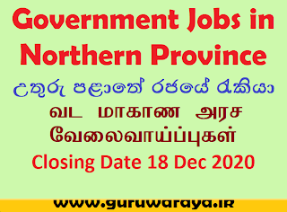 Government Vacancies in Northern Province