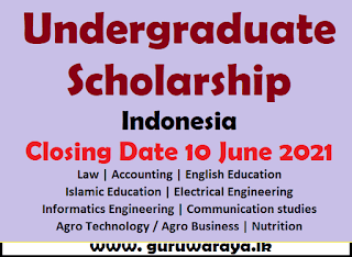 Undergraduate Scholarship : Indonesia