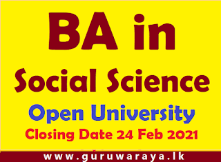 BA in Social Sciences