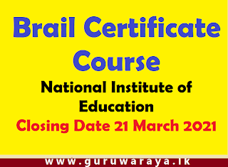 Brail Certificate Course : NIE